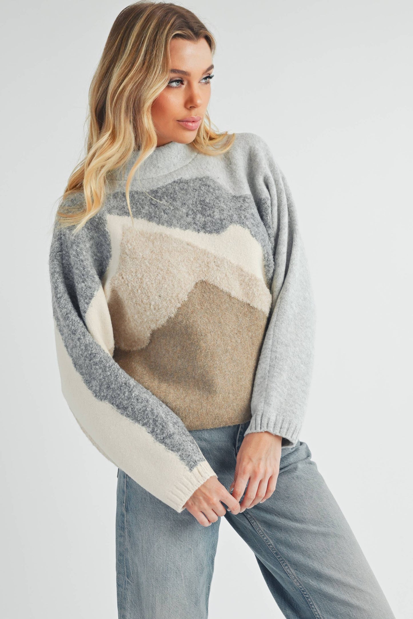 Mountain Sweater 1: Gray/Tan / Contemporary